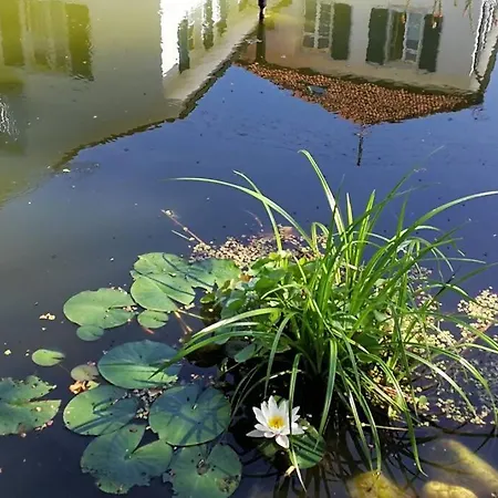 In De Preiswert Wohnen Und In Der Ch Gut Verdienen Appartement *