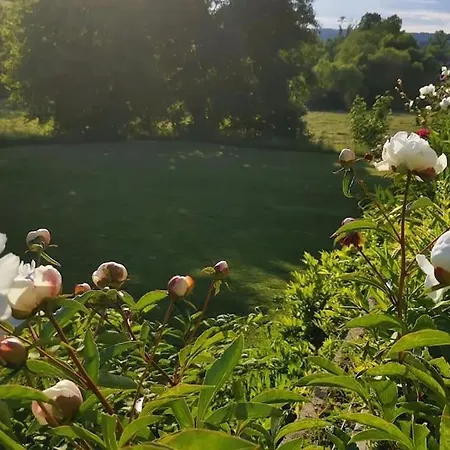 Apartamento Columbus - Raum Für Entspannte Aufenthalte Nahe Zur Schweiz *